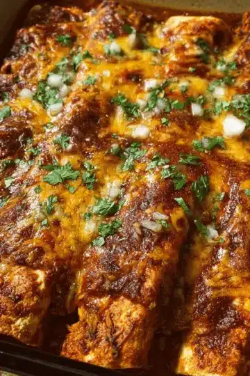 Birria Enchiladas