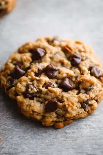 Big Fat Peanut Butter Oatmeal Chocolate Chip Cookies